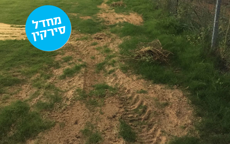 הבורות במתחם סירקין. צילום: החוג הכחול