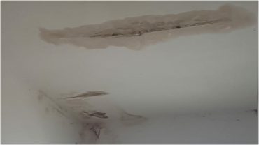 נזילות מדירת עמידר בעמישב