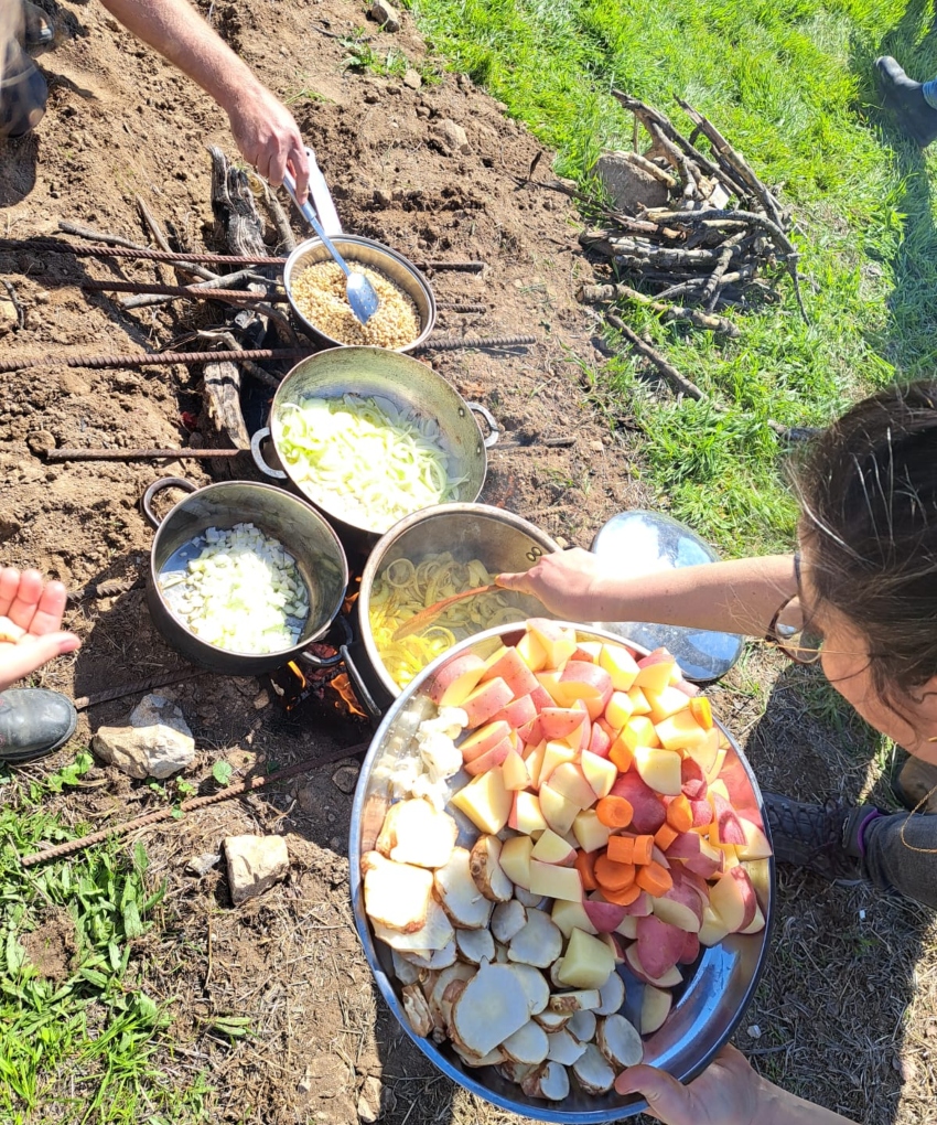 הבישולים בעיצומם (צילום: יאיר רן פלד)