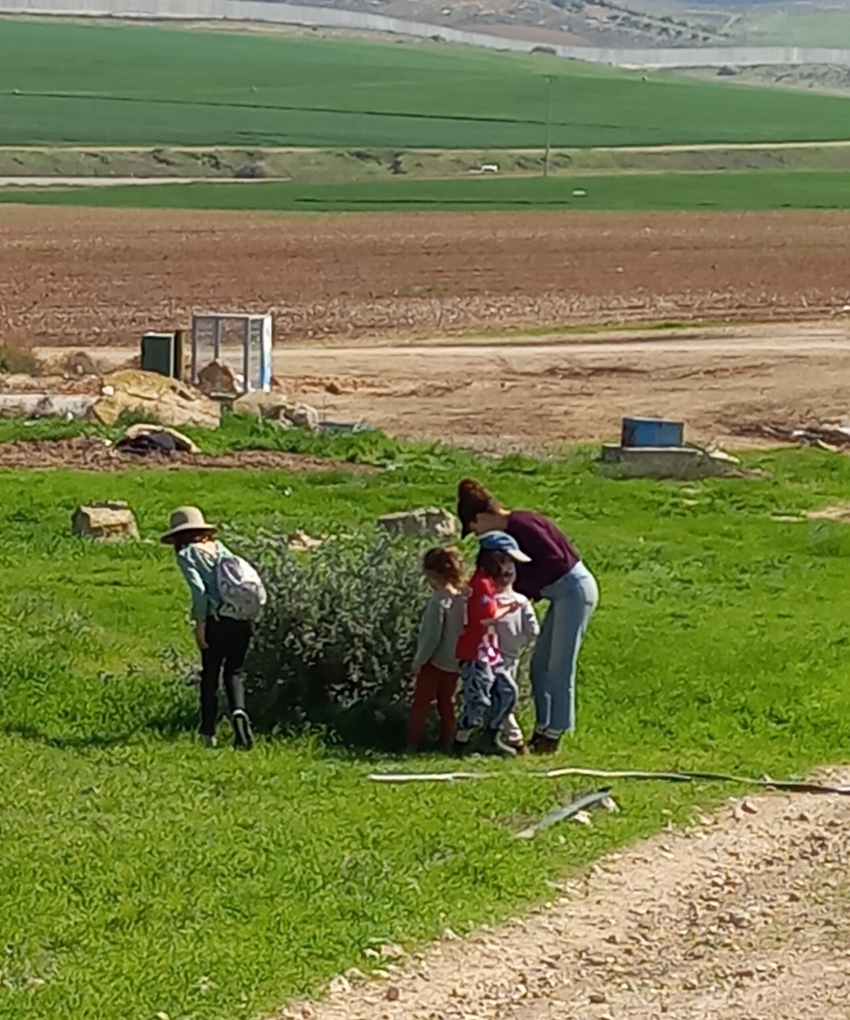 המשפחות מלקטות את צמחי הבר (צילום: הילה נבון)