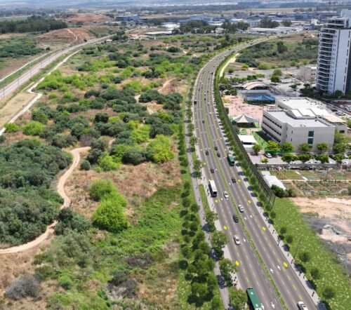 הדמיית דרך ראשון לציון באם המושבות ובית ספר פאול קור צילום עדי בואנו לנתיבי אילון