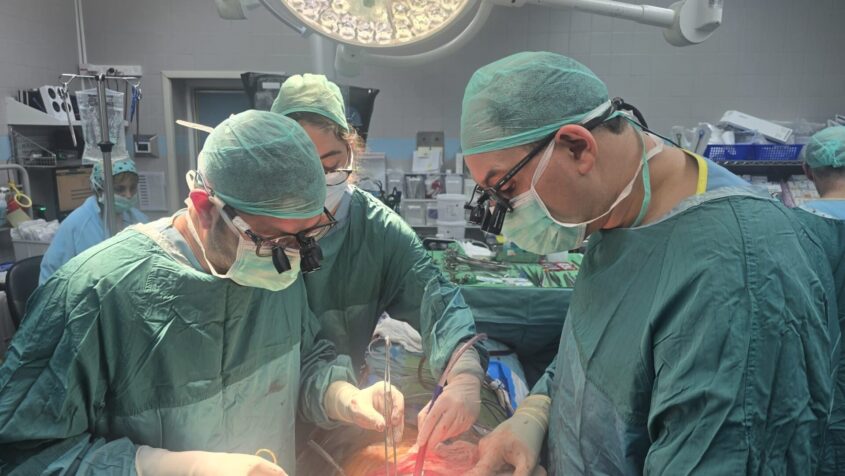 ד"ר יורי פייסחוביץ בניתוח השתלת הריאות ה1,000. צילום: דוברות בילינסון